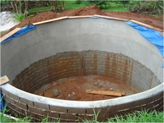 2.bmp