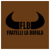 View this image in original resolution: FLB.bmp