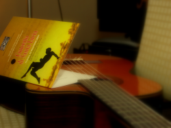 View this image in original resolution: concerto